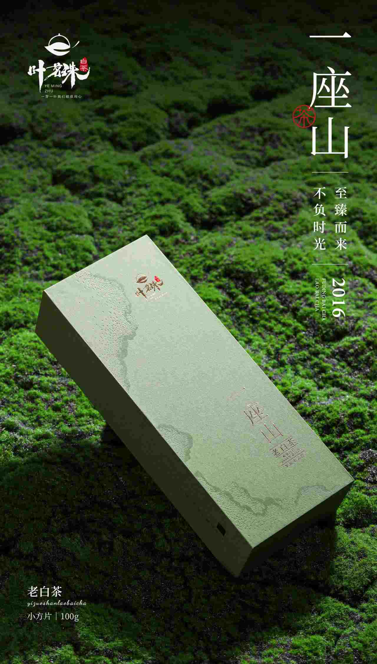 一座山《老白茶》